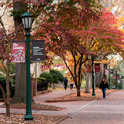 horseshoe in the fall