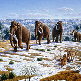 mammoths