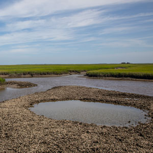 Baruch Marine Field Laboratory on the North Inlet-Winyah Bay National Estuarine Research Reserve.